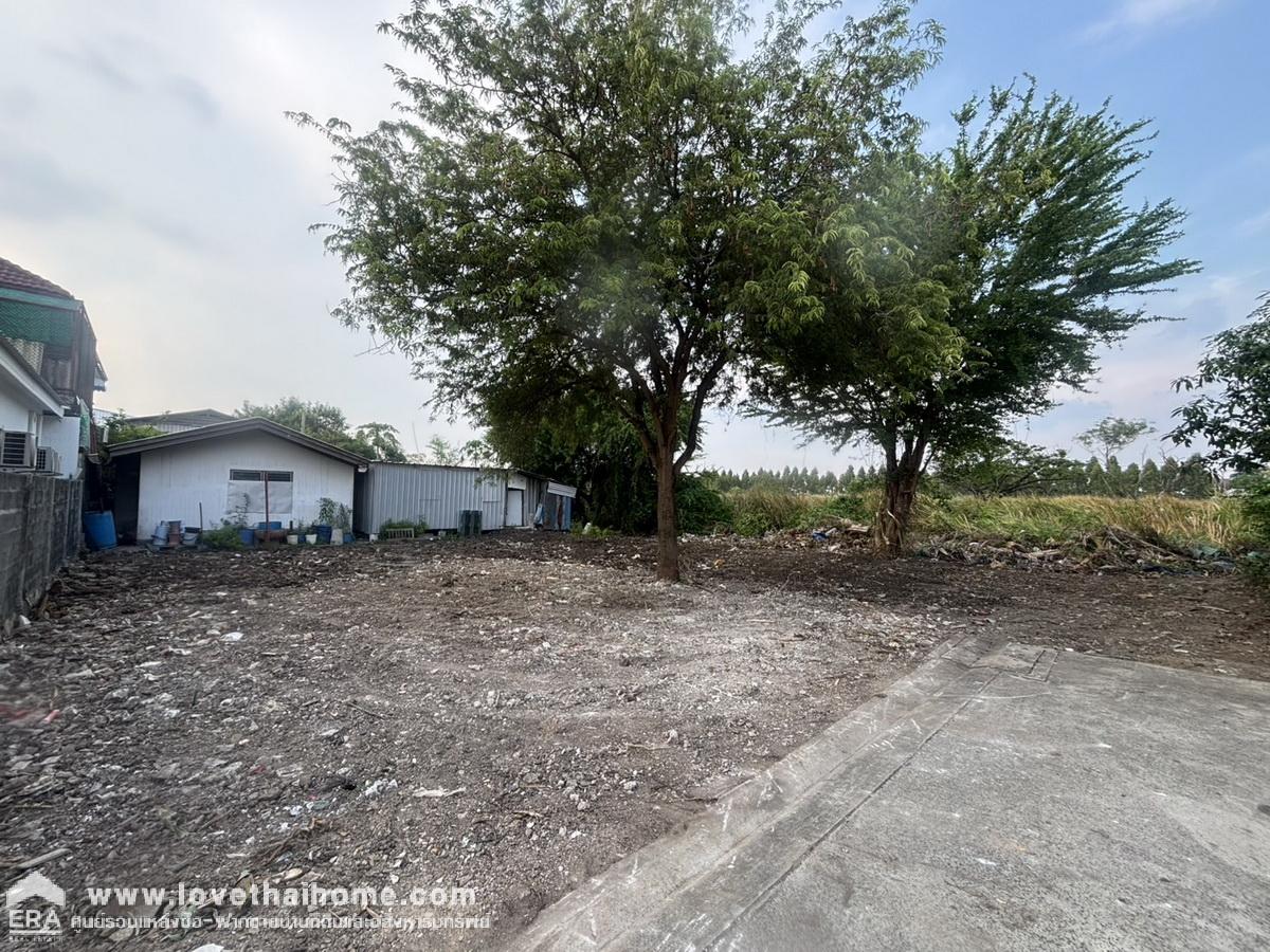 ขายที่ดินในหมู่บ้านบัวขาว ซ.รามคำแหง 174 พื้นที่ 65 ตรว. ที่ดินถมแล้ว เหมาะสร้างบ้าน ขายถูกที่สุดในซอย ใกล้รถไฟฟ้าสายสีส้ม-สถานีมีนพัฒนา