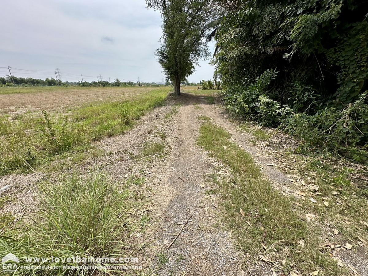 ขายที่ดินติดถนนเลียบคลองสิบสาม (หนองจอก) 3-3-29 ไร่ ติดถนนหลัก ใกล้วัดแสนเกษม ไม่ไกลจากเขตหนองจอกและถนนลำลูกกา หันหน้าทางทิศตะวันตก ทำเป็นจุดท่องเที่ยวเชิงเกษตร หรือค้าขายพันธุ์ไม้ใต้,ปั้มน้ำมันขนาดเล็ก