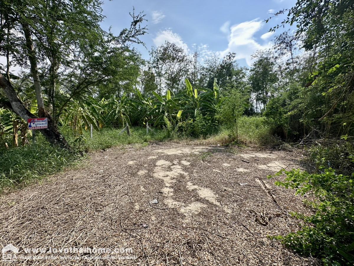 ขายที่ดินเปล่าในหมู่บ้านกฤษดานคร 25 ถนนประชาร่วมใจ 31 ขายต่ำกว่าราคาประเมิน พื้นที่ 352 ตรว. หันหน้าทางทิศใต้ ในซอยเดียวกันมีบ้านอยู่ 2 หลัง จากถนนเมนหลักเข้าทางซอย 4
