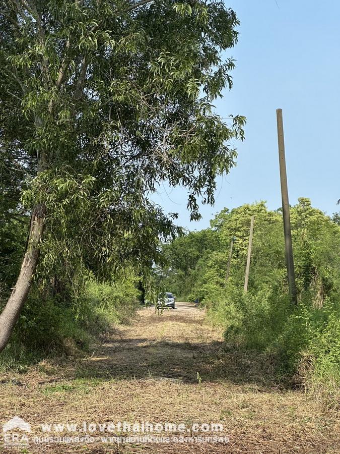ขายที่ดินเปล่าในหมู่บ้านกฤษดานคร 25 ถนนประชาร่วมใจ 31 ขายต่ำกว่าราคาประเมิน พื้นที่ 352 ตรว. หันหน้าทางทิศใต้ ในซอยเดียวกันมีบ้านอยู่ 2 หลัง จากถนนเมนหลักเข้าทางซอย 4