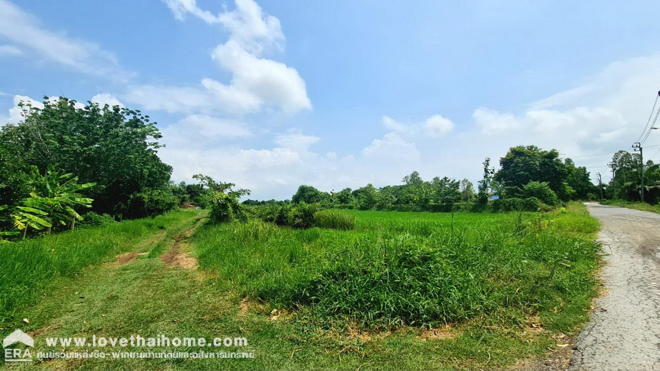 ขายที่ดิน 1 ไร่ ในซอยมิตรไมตรี 6/6 ใกล้อนุกรณ์ฟาร์ม หนองจอก กรุงเทพฯ