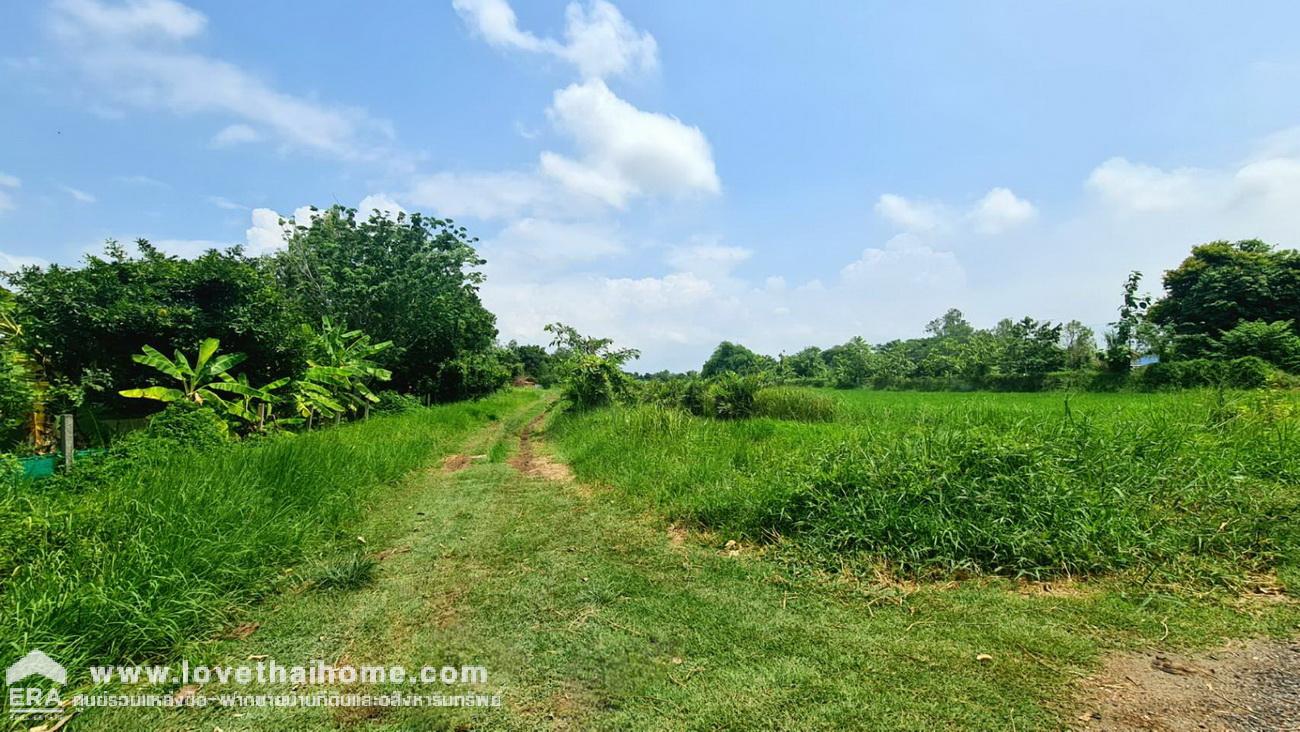 ขายที่ดิน 1 ไร่ ในซอยมิตรไมตรี 6/6 ใกล้อนุกรณ์ฟาร์ม หนองจอก กรุงเทพฯ