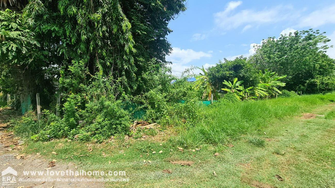 ขายที่ดิน 1 ไร่ ในซอยมิตรไมตรี 6/6 ใกล้อนุกรณ์ฟาร์ม หนองจอก กรุงเทพฯ