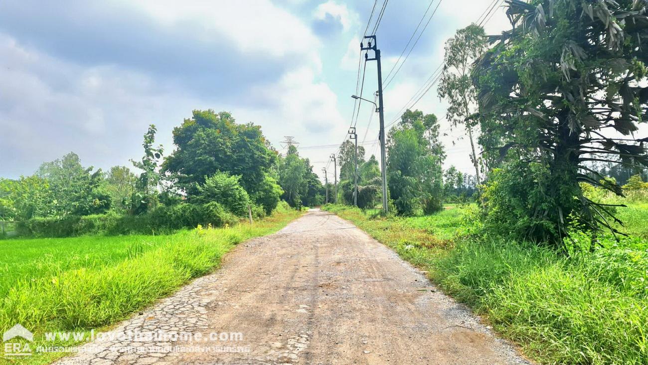ขายที่ดิน 1 ไร่ ในซอยมิตรไมตรี 6/6 ใกล้อนุกรณ์ฟาร์ม หนองจอก กรุงเทพฯ