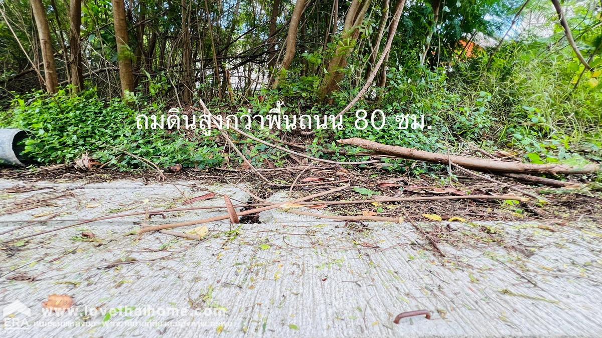 ขายที่ดินเปล่า ทวีวัฒนา ติดถนนบรมราชชนนี หมู่บ้านปัญจทรัพย์ พาร์ค พุทธมณฑลสาย3 ที่ดินถมแล้ว แปลงมุมด้านใน พื้นที่ 71 ตรว. ใกล้ทางขึ้น ทางคู่สนามลอยฟ้าบรมราชชนนี