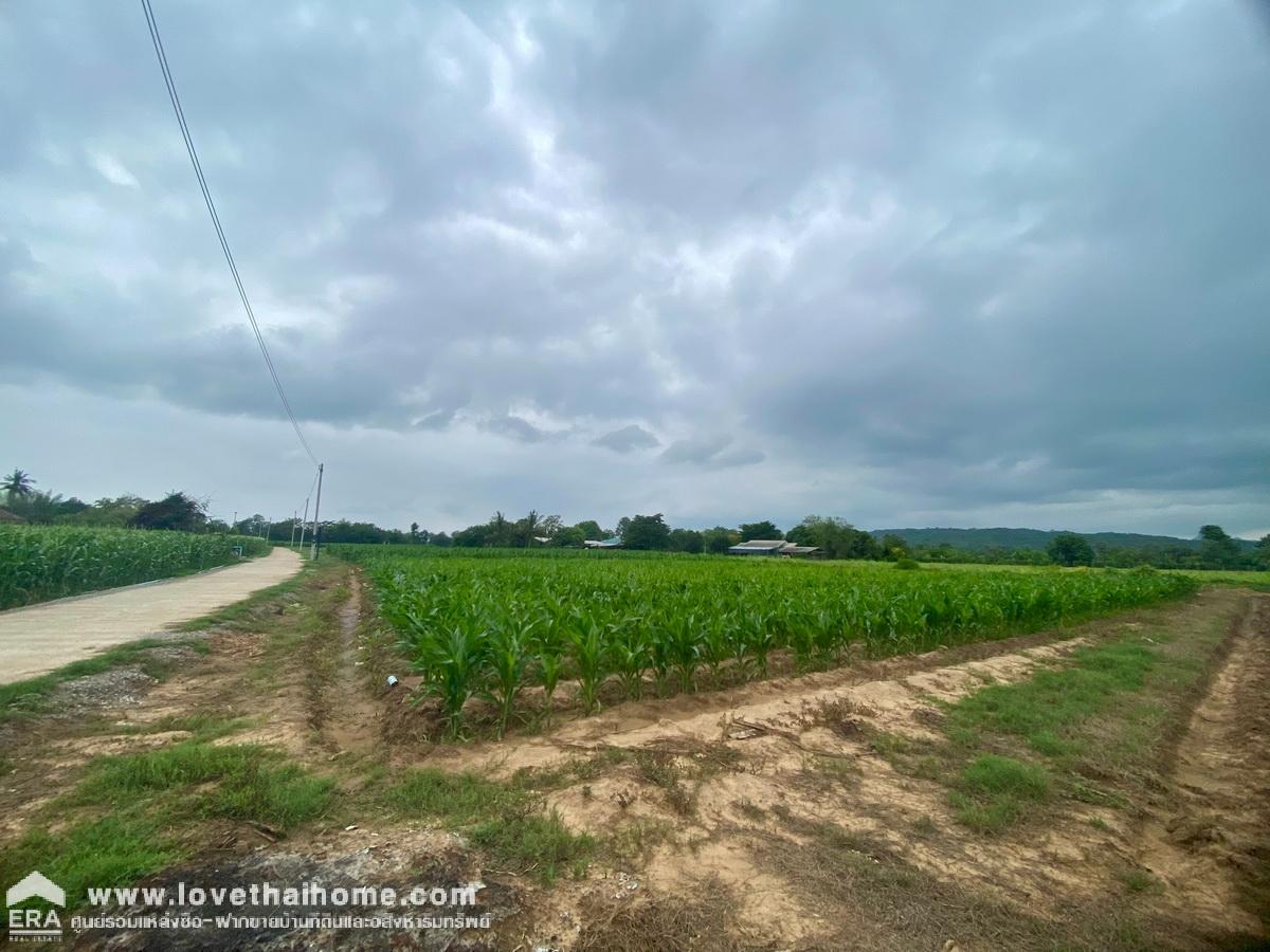 ขายที่ดินอำเภอเมืองกาญจนบุรี ต.วังเย็น พื้นที่ 7 ไร่ ติดแม่น้ำแถมบ้านตากอากาศ 2 ชั้น