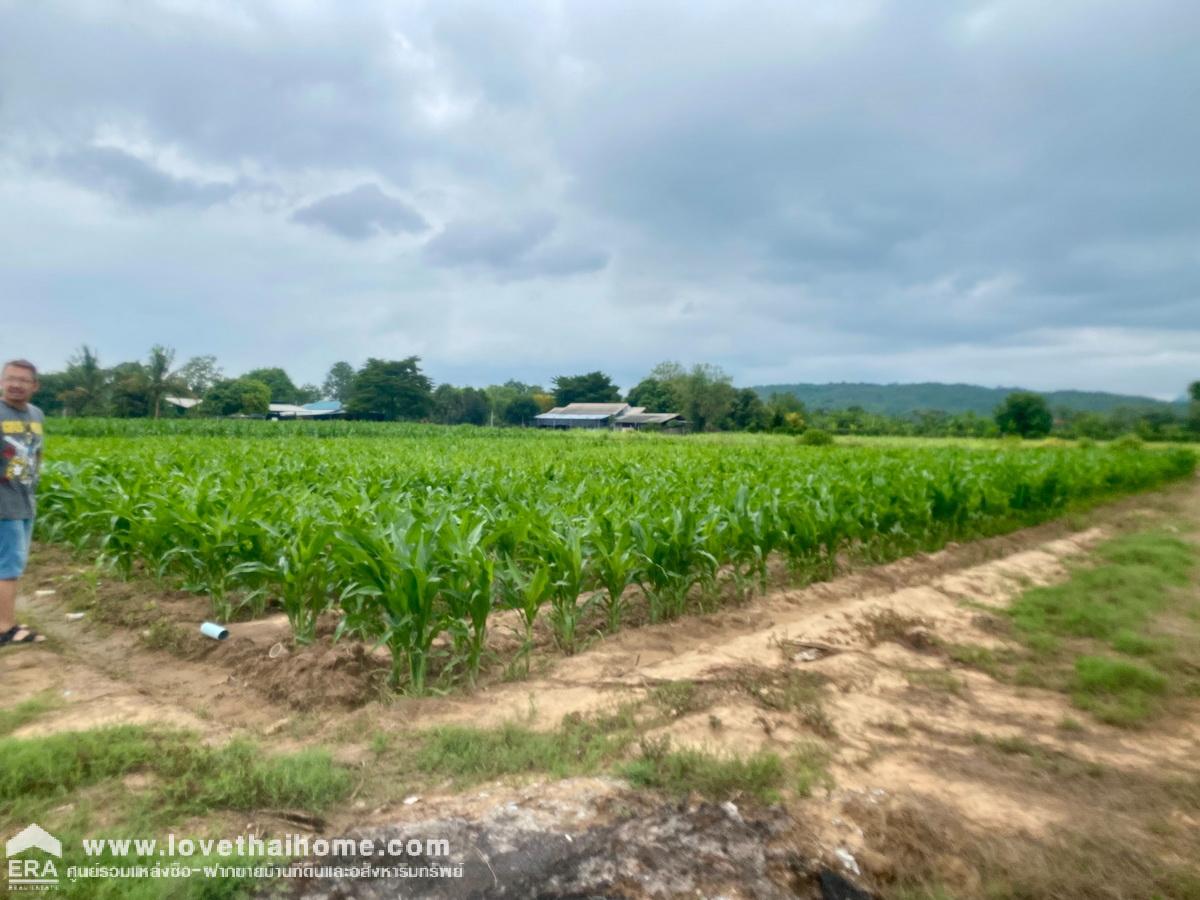 ขายที่ดินอำเภอเมืองกาญจนบุรี ต.วังเย็น พื้นที่ 7 ไร่ ติดแม่น้ำแถมบ้านตากอากาศ 2 ชั้น