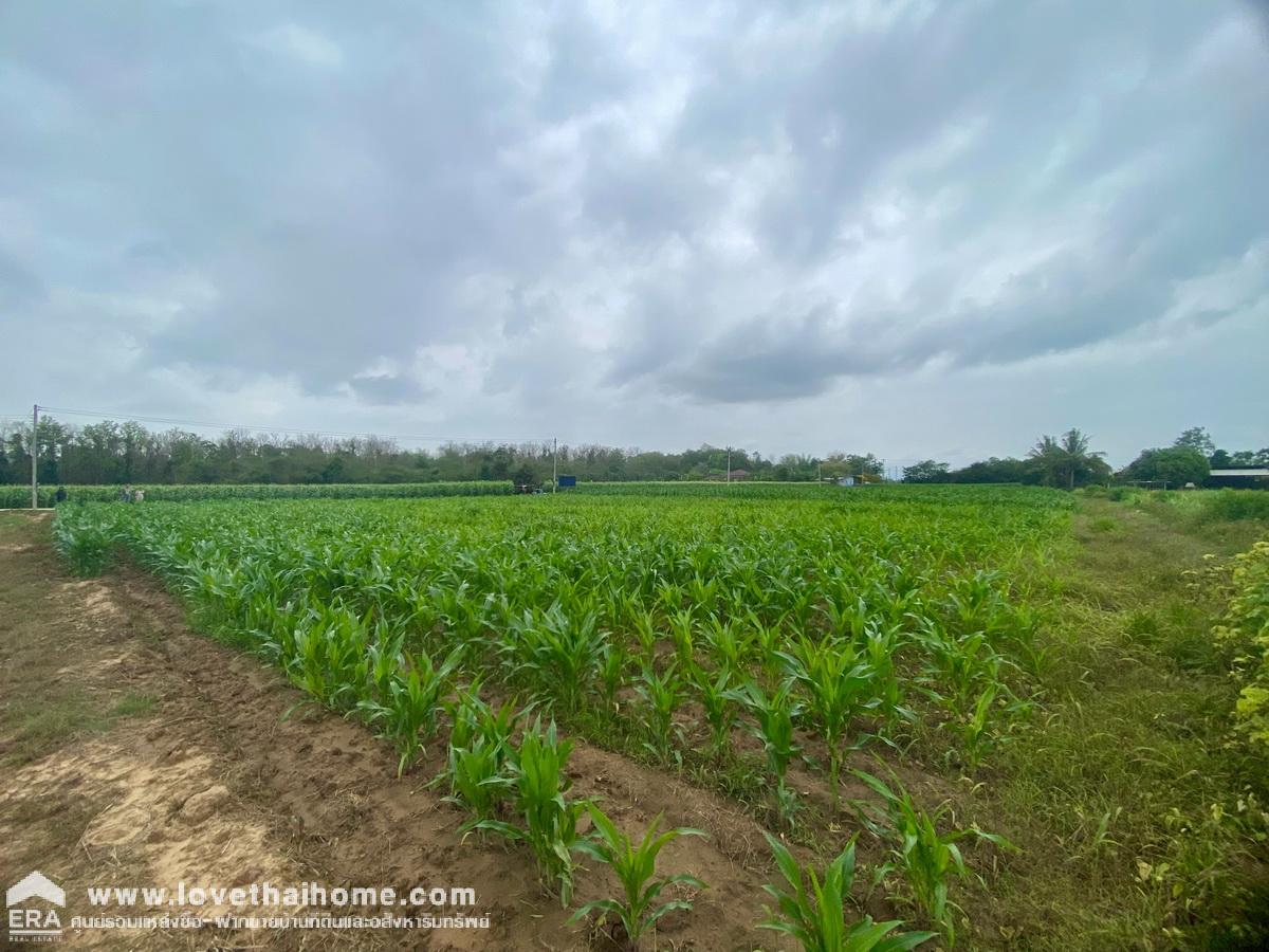 ขายที่ดินอำเภอเมืองกาญจนบุรี ต.วังเย็น พื้นที่ 7 ไร่ ติดแม่น้ำแถมบ้านตากอากาศ 2 ชั้น
