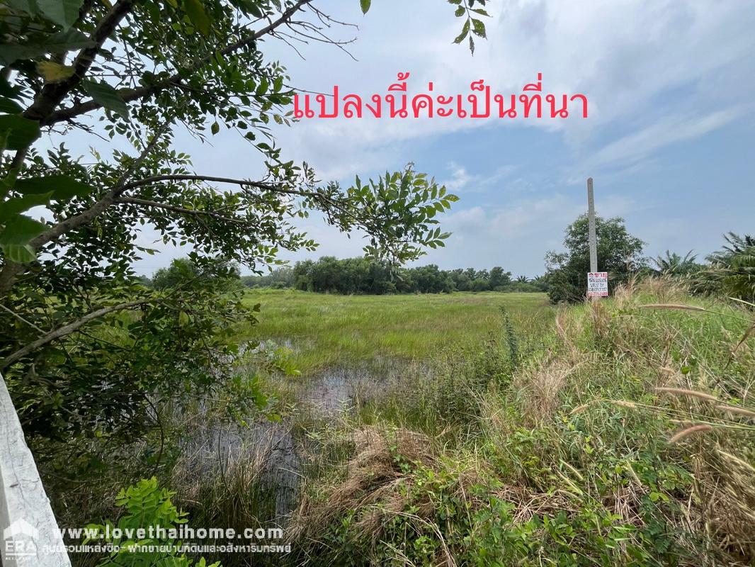 ขายที่ดิน หนองเสือ คลอง14 ซอยศาลาครุ10 ต.ศาลาครุ อ.หนองเสือ จ.ปทุมธานี พื้นที่ 2 ไร่ เป็นที่นา ลดสุดๆ ถ้าสนใจจริงๆ คุ้มมากค่ะ