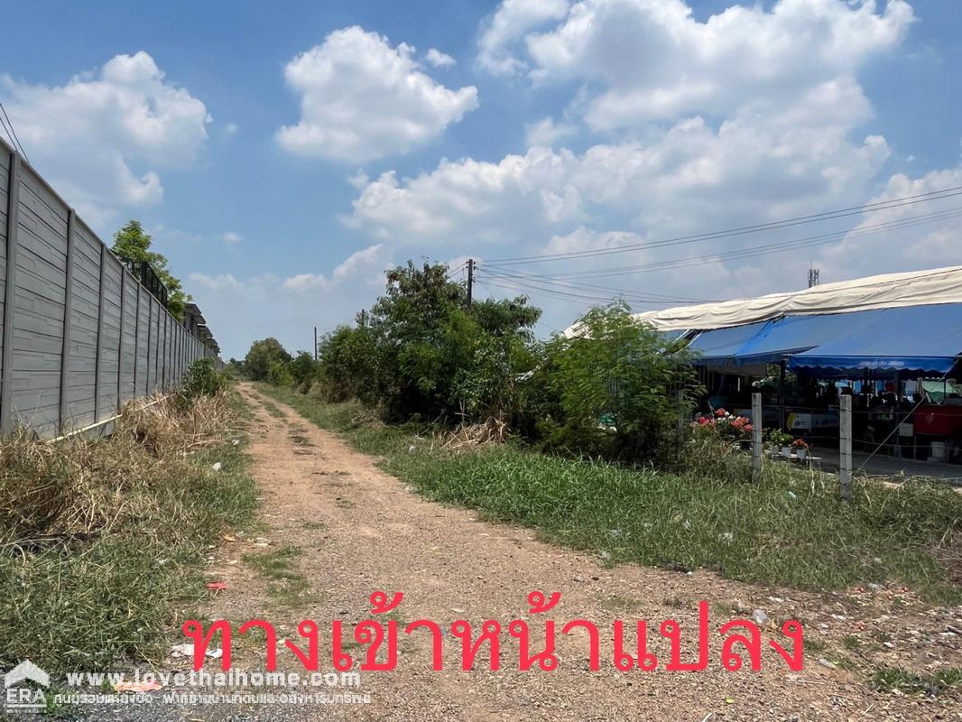 ขายที่ดิน ซอยบงกช คลองหลวง คลอง2 พื้นที่ 2 ไร่ แปลงสวย ถมแล้ว อยู่ติดกับหมู่บ้านเอสเกต พรีเมียม (S GATE PREMIUM) รังสิต-คลองหลวง