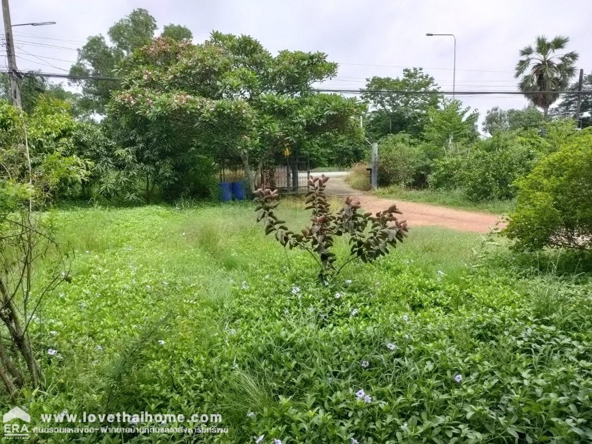 ขายที่ดินพร้อมบ้านชั้นเดียว ติดถนนเลียบคลอง10 รังสิต-นครนายก หนองเสือ พื้นที่ 400 ตรว. สามารถทำสวนได้อยู่ติดถนน หน้ากว้าง 20 เมตร