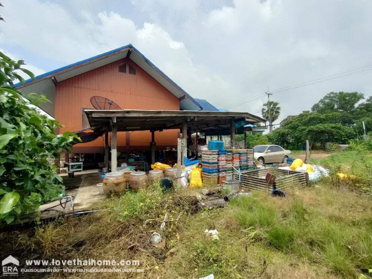 ขายที่ดินพร้อมบ้านชั้นเดียว ติดถนนเลียบคลอง10 รังสิต-นครนายก หนองเสือ พื้นที่ 400 ตรว. สามารถทำสวนได้อยู่ติดถนน หน้ากว้าง 20 เมตร
