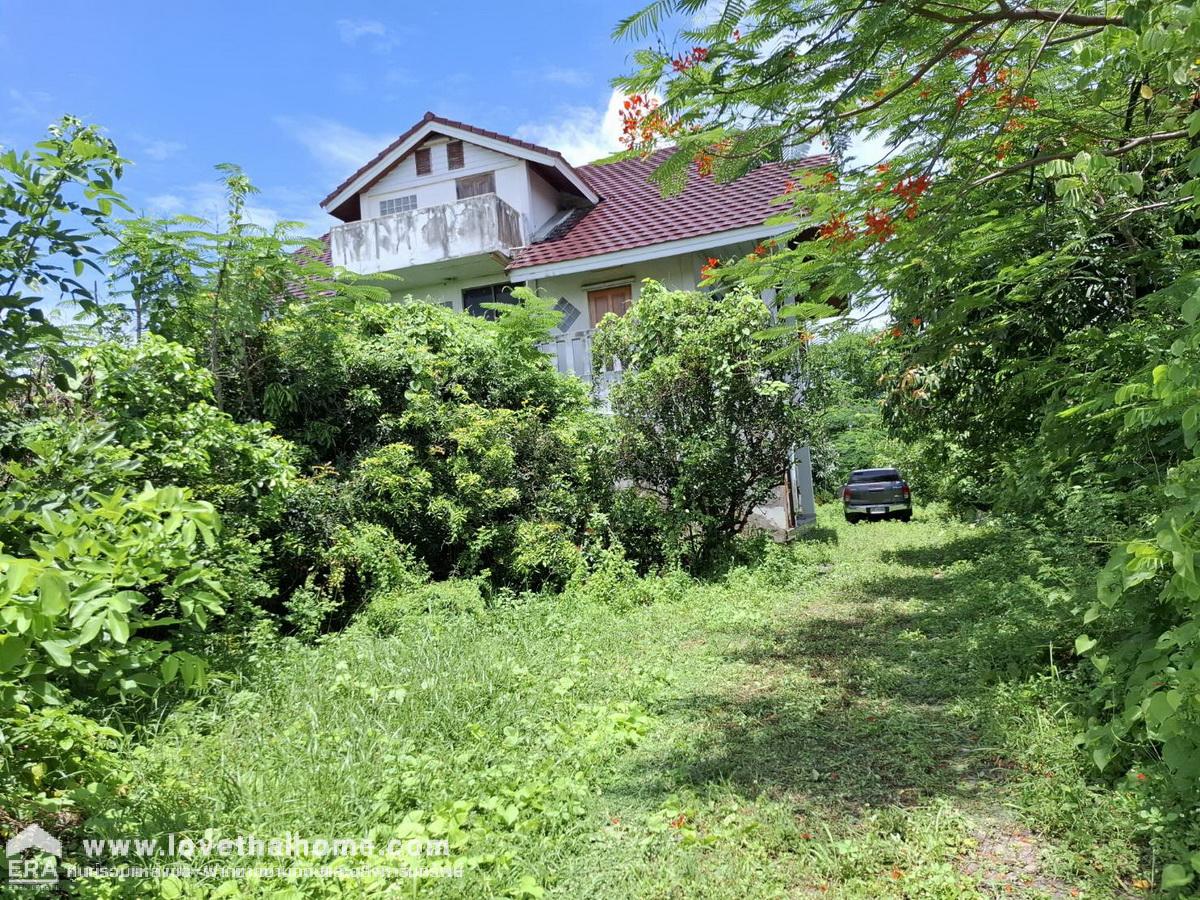 ขายที่ดิน 4 ไร่ พร้อมบ้าน 3 ชั้น ใกล้กรุงเทพฯ ซ.เลียบคลองกำนันชื้น หนองเพรางาย ไทรน้อย นนทบุรี (บ้านสวน ร่มรื่น ปลูกผลไม้ไว้หลายชนิด)
