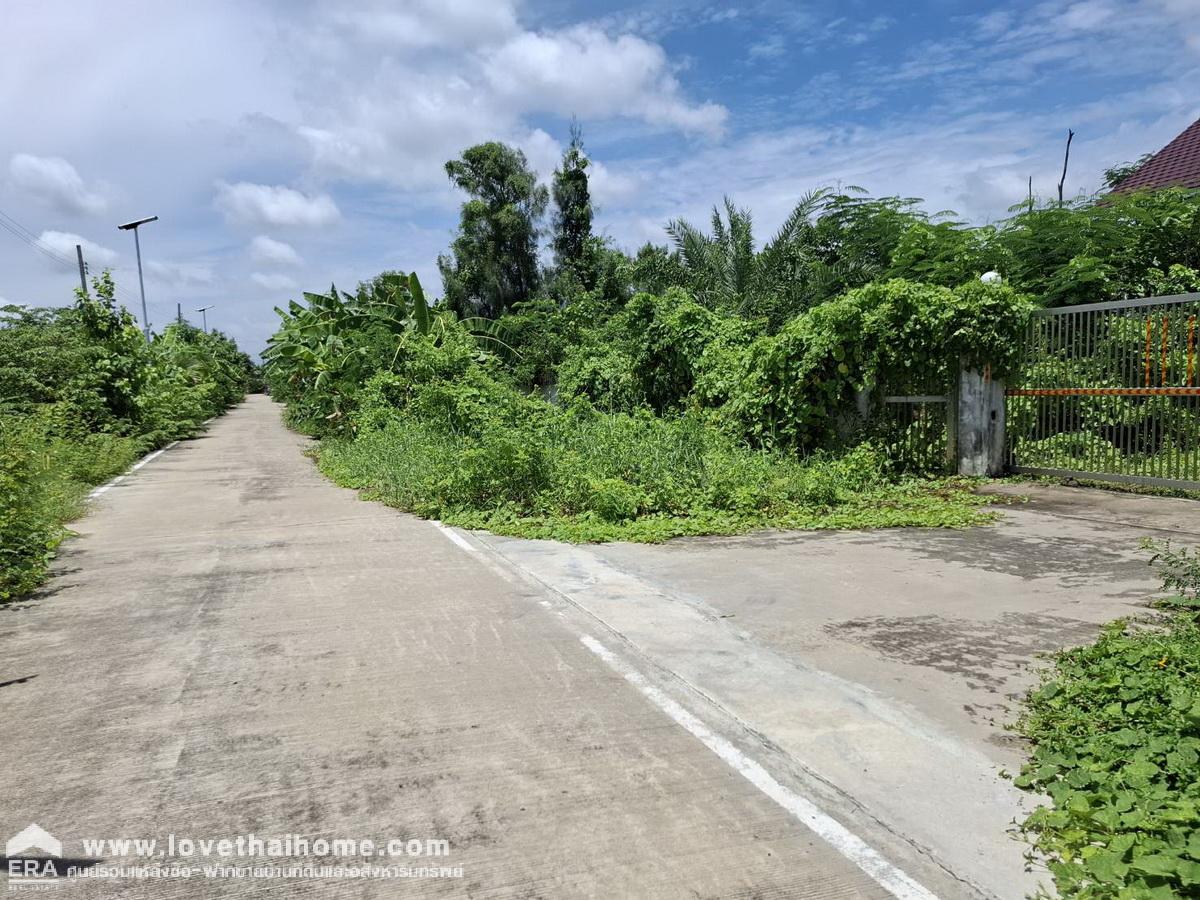 ขายที่ดิน 4 ไร่ พร้อมบ้าน 3 ชั้น ใกล้กรุงเทพฯ ซ.เลียบคลองกำนันชื้น หนองเพรางาย ไทรน้อย นนทบุรี (บ้านสวน ร่มรื่น ปลูกผลไม้ไว้หลายชนิด)