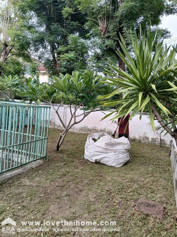 ขายบ้านเดี่ยว หมู่บ้านพฤกษ์ลดา รังสิต คลอง4 ถนนสไวประชาราษฎร์ พื้นที่ 57 ตรว. บ้านโครงสร้างแข็งแรง ของแลนด์แอนด์เฮ้าส์ แปลงหัวมุม สวย ขายถูกมากๆ ใครไวกว่าได้ของถูกชัวร์!!