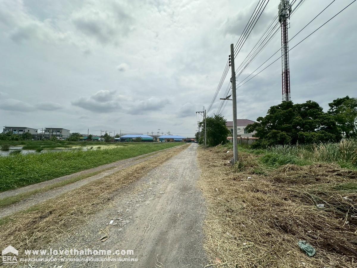 ขายที่ดินแพรกษา เมืองสมุทรปราการ พื้นที่ 1 ไร่ 19 ตรว. ใกล้ถนนหลักแพรกษา-เทพารักษ์-สุขุมวิท และบางนา-ตราด เหมาะสร้างบ้าน/โกดัง/โรงงาน
