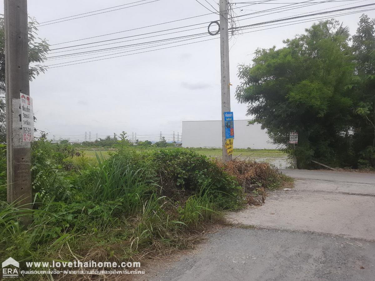 ขายบ้านเดี่ยวเรือนไทยไม้สัก 2 ชั้น 100 ตรว. บางกรวย-ไทรน้อย ซ.โรงเรียนคลองฝรั่ง (บัวเอี่ยม) นนทบุรี ใกล้ รพ.ไทรน้อย-เซ็นทรัลเวสต์เกต