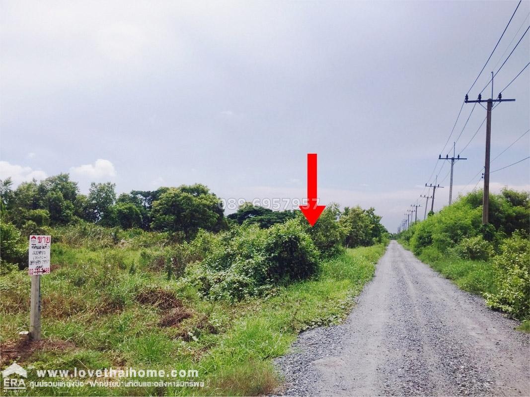ขายที่ดิน 400 ตร.วา  ถ.ร่วมพัฒนา ซอย 10-12 ( เลียบคลองกระทุ่มล้ม) ย่านสุวินทวงศ์-หนองจอก-ลำต้อยติ่ง ตรงข้ามวัดใหม่กะทุ่มล้ม ราคาถูกมาก