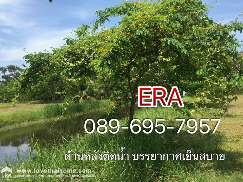 ขายที่ดิน โครงการเจ้าสำราญเลค & ฮิลล์ ใกล้ชายหาดเจ้าสำราญ เพชรบุรี พื้นที่ 84 ตรว. ด้านหลังติด Lake ใกล้สโมสรของหมู่บ้าน