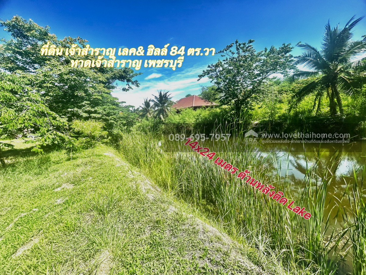 ขายที่ดิน โครงการเจ้าสำราญเลค & ฮิลล์ ใกล้ชายหาดเจ้าสำราญ เพชรบุรี พื้นที่ 84 ตรว. ด้านหลังติด Lake ใกล้สโมสรของหมู่บ้าน
