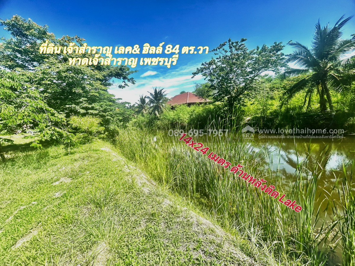 ขายที่ดิน โครงการเจ้าสำราญเลค & ฮิลล์ ใกล้ชายหาดเจ้าสำราญ เพชรบุรี พื้นที่ 84 ตรว. ด้านหลังติด Lake ใกล้สโมสรของหมู่บ้าน
