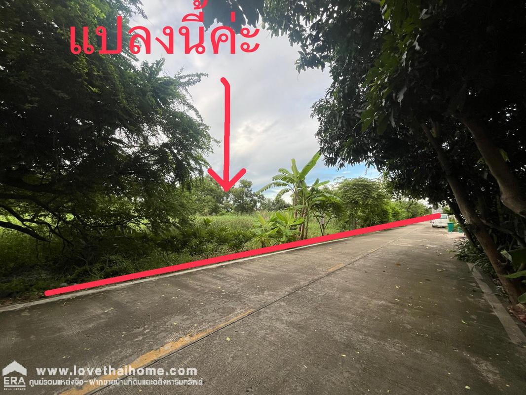 ขายที่ดิน ซอยคลองสี่6 คลองหลวง ปทุมธานี พื้นที่ 85 ตรว. ถมแล้ว เหมาะสร้างบ้าน รูปแปลงสี่เหลี่ยมผืนผ้าสวย หน้ากว้าง 15.5 x 22 เมตร ด่วนๆค่ะ