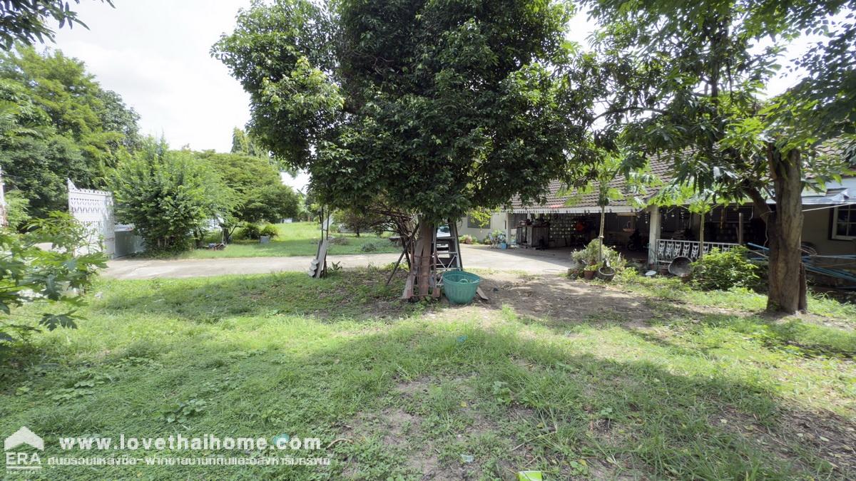 ขายที่ดิน ซอยรามคำแหง143 ทำเลรถไฟฟ้าสายสีส้ม พื้นที่ 273 ตรว. ขาย 80,000 บาท/ตรว. ใกล้จุดขึ้น-ลงวงแหวนรอบนอกตะวันออก