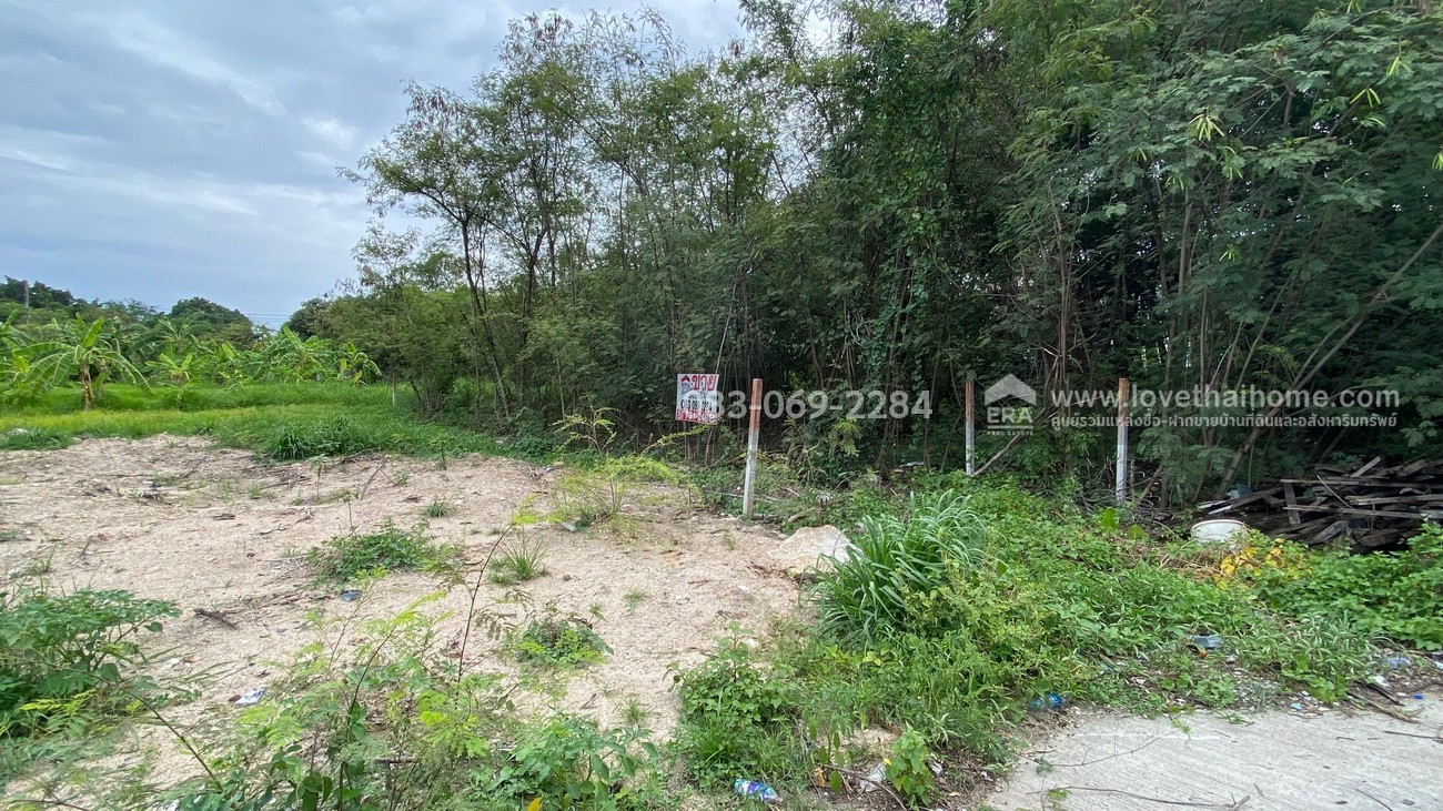 ขายที่ดินหมู่บ้านชัยพฤกษ์ บางนา-ตราด กม.18 สมุทรปราการ ใกล้ทางด่วนบางพลี 1 เพียง 15 นาที พื้นที่ 216 ตรว. วาละ 20,000 บาท