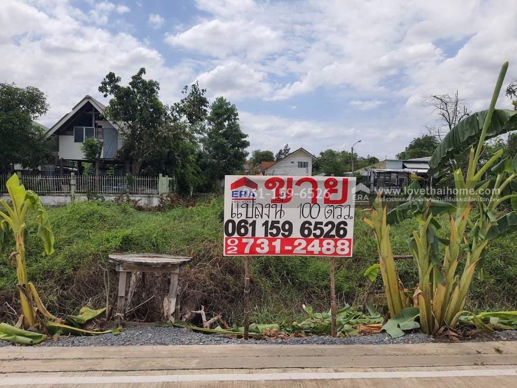 ขายที่ดิน ถ.บางกรวย-ไทรน้อย ซ.99พัฒนา (อบต.บางบัวทอง 10) 100 ตรว. รูปสี่เหลี่ยมผืนผ้า ถูกที่สุดในย่านนี้! เหมาะสร้างบ้าน-โกดัง ใกล้ถนนใหญ่เพียง 500 ม.