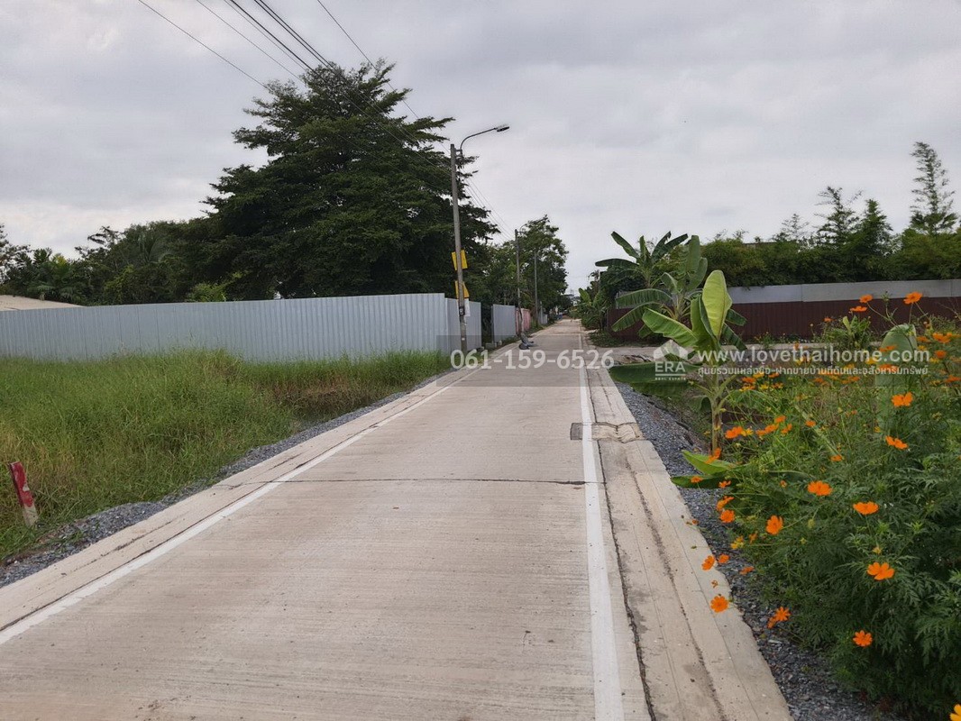 ขายที่ดิน ถ.บางกรวย-ไทรน้อย ซ.99พัฒนา (อบต.บางบัวทอง 10) 100 ตรว. รูปสี่เหลี่ยมผืนผ้า ถูกที่สุดในย่านนี้! เหมาะสร้างบ้าน-โกดัง ใกล้ถนนใหญ่เพียง 500 ม.