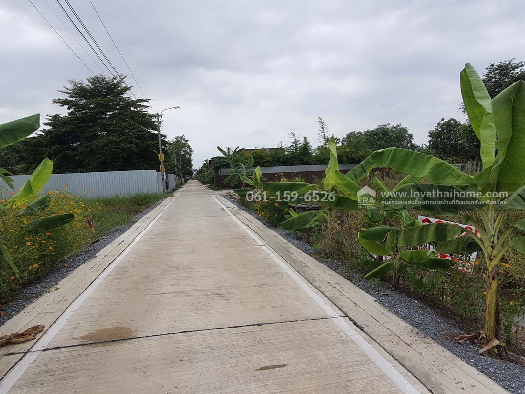 ขายที่ดิน ถ.บางกรวย-ไทรน้อย ซ.99พัฒนา (อบต.บางบัวทอง 10) 100 ตรว. รูปสี่เหลี่ยมผืนผ้า ถูกที่สุดในย่านนี้! เหมาะสร้างบ้าน-โกดัง ใกล้ถนนใหญ่เพียง 500 ม.