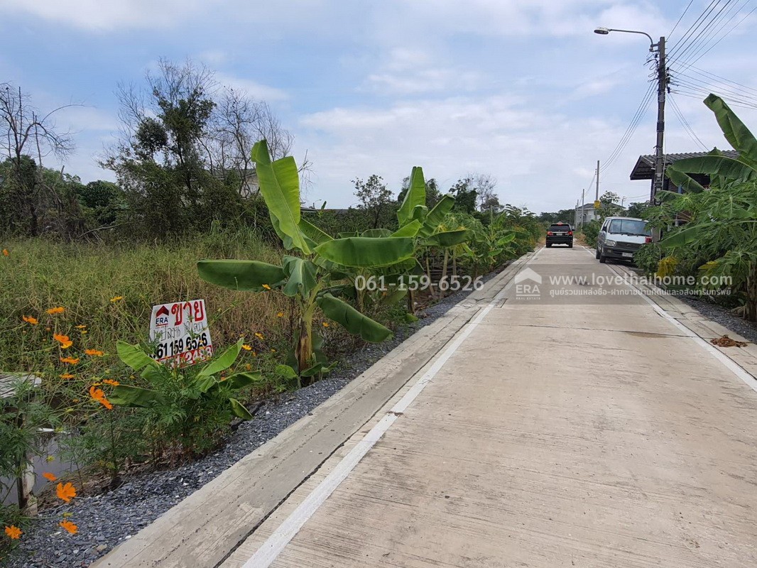 ขายที่ดิน ถ.บางกรวย-ไทรน้อย ซ.99พัฒนา (อบต.บางบัวทอง 10) 100 ตรว. รูปสี่เหลี่ยมผืนผ้า ถูกที่สุดในย่านนี้! เหมาะสร้างบ้าน-โกดัง ใกล้ถนนใหญ่เพียง 500 ม.