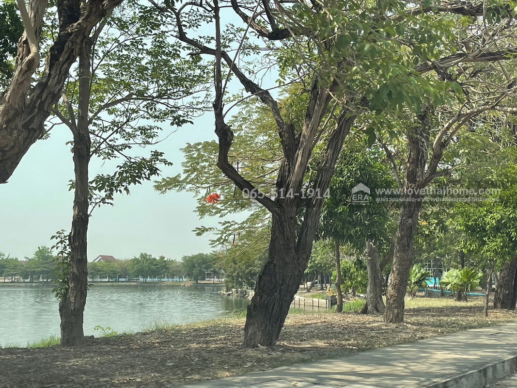 ขายด่วน บ้านเดี่ยว หมู่บ้านสินธร รังสิต ต.บางพูน ปทมุธานี ขายถูก ซื้อ 1 หลัง แถม 1 หลัง ลดราคาเหลือ 5.8 ล้านบาท เนื้อที่รวม 153 ตรว. พื้นที่ใช้สอยรวม 288 ตรม. ทำเลดี ใกล้สวนสาธารณะ บึง สระว่ายน้ำ หันหน้าไปทางทิศตะวันตกเฉียงใต้