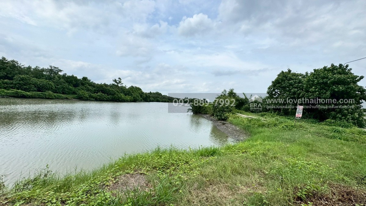 ขายที่ดิน ถนนเลียบคลองสรรพสามิต พระสมุทรเจดีย์ พื้นที่ 45-3-24 ไร่ เชิงสะพานข้ามคลองขุด-หลังขุน ราคาถูก
