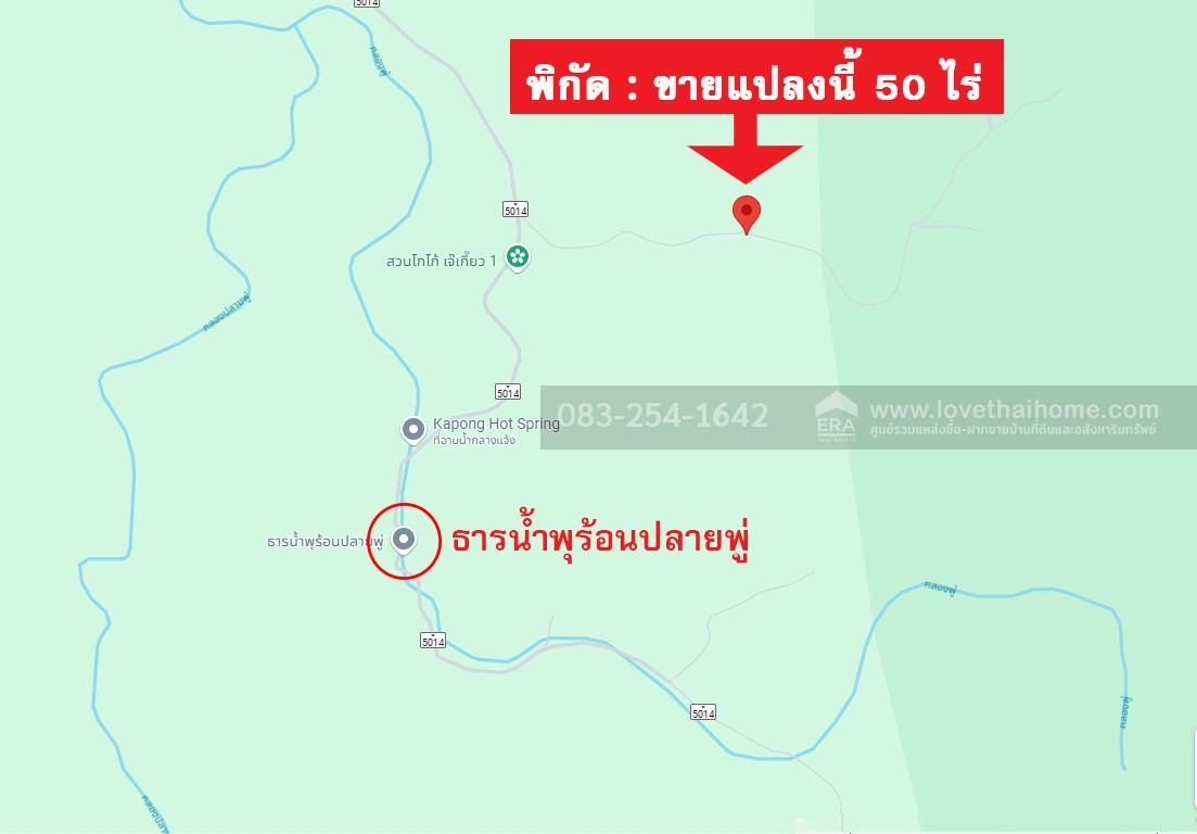 ขายสวนปาร์ม ต.ท่านา อ.กะปง จ.พังงา ใกล้บ่อน้ำพุร้อนปลายพู่ เป็นที่ดิน 50 ไร่ ขายถูกมาก