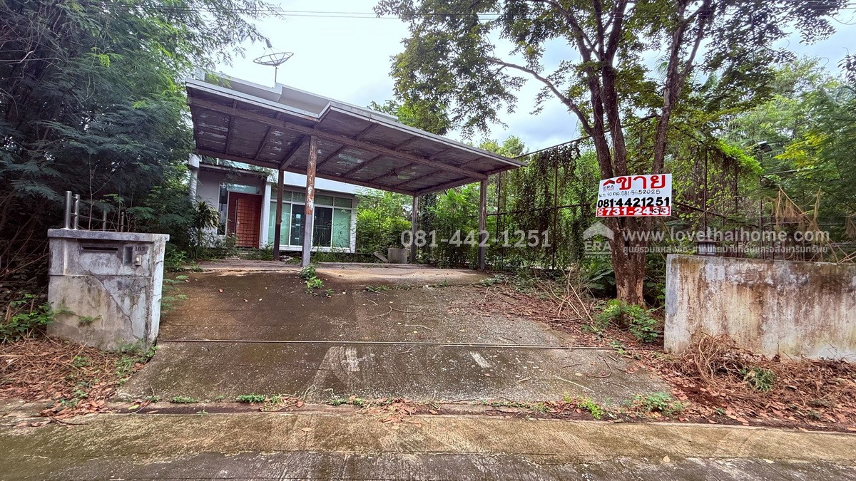ขายบ้านเดี่ยว2ชั้นซอยบรมราชชนนี62/6 หมู่บ้านกรีนนิชชาเล่ต์ พื้นที่ 90 ตรว. ขาย 9.9 ล้านบาท ทำเลดีมาก ใกล้จุดขึ้น-ลงทางยกระดับบรมราชชนนี