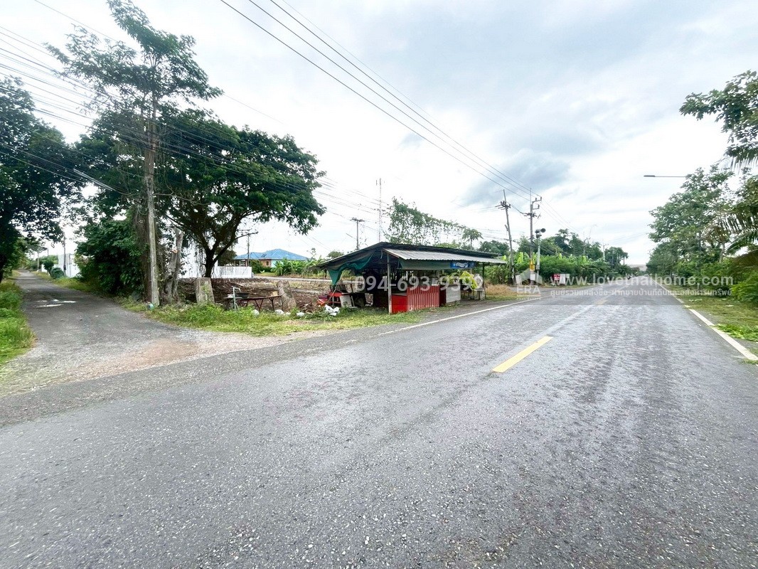ขายที่ดิน ถนนรังสิต-นครนายก คลอง11 พื้นที่ 200 ตรว. ขายถูกๆ หน้ากว้างติดถนน 19 x 21 เมตร ติดถนนสาธารณะ เดินทางสะดวก แปลงสวย ทางไปวัดป่าคลอง11
