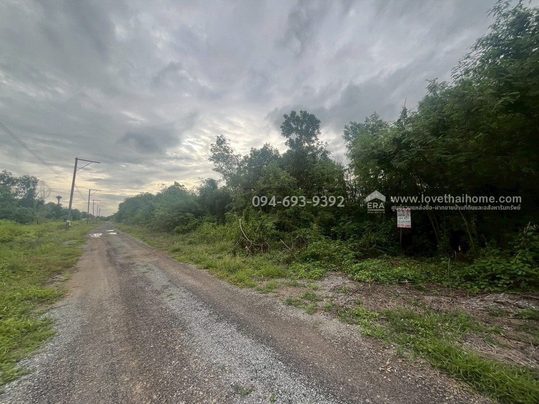 ขายที่ดิน ถนนรังสิต-นครนายก คลอง11 พื้นที่ 2 ไร่ สวย ถูก พร้อมโอนจร้า! หน้ากว้าง 38 x 44 เมตร ถมแล้ว