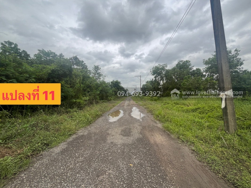 ขายที่ดิน ถนนรังสิต-นครนายก คลอง11 พื้นที่ 2 ไร่ สวย ถูก พร้อมโอนจร้า! หน้ากว้าง 38 x 44 เมตร ถมแล้ว