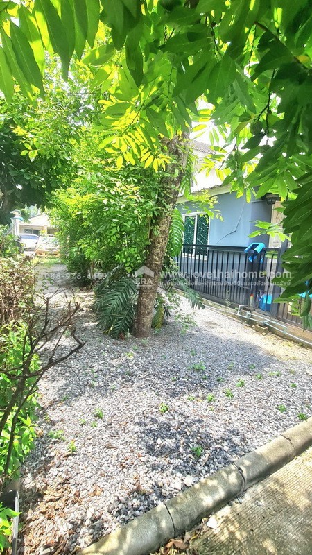 ขายทาวน์เฮ้าส์ 2 ชั้น หมู่บ้านพฤกษาวิลล์50 ถนนรามคำแหง ซอยมิสทีน หลังมุม พื้นที่ 25.4 ตรว. ใกล้รถไฟฟ้าสายสีส้ม สถานีราษฎร์พัฒนา ต่อเติมเต็มพื้นที่ แถมแอร์ 4 เครื่อง พร้อมอยู่