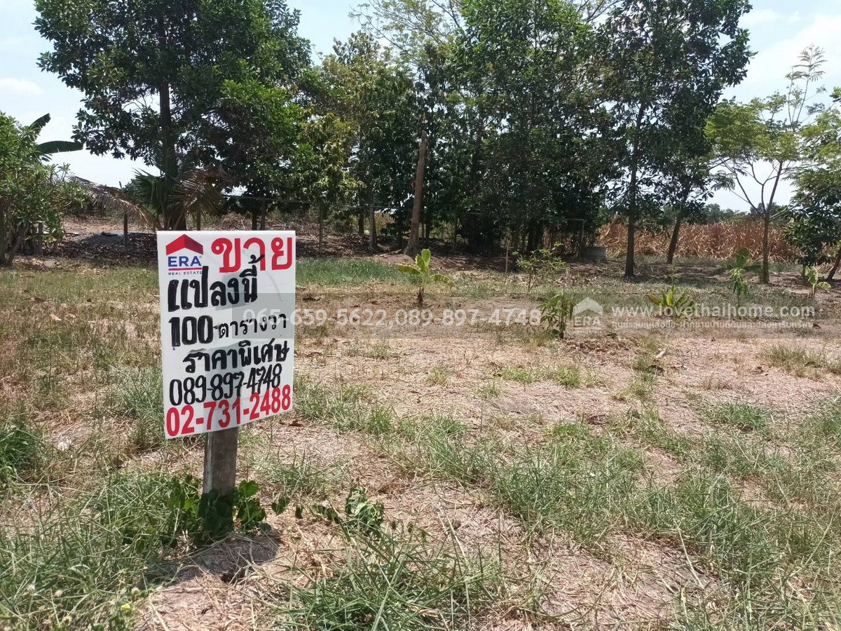 ขายที่ดินราคาถูกคลองเก้า ซอยบัวรุ่ง หนองจอก 100 ตรว. ใกล้ศูนย์บริหารอิสลามแห่งประเทศไทย ห่างประมาณ 100 กว่าเมตร