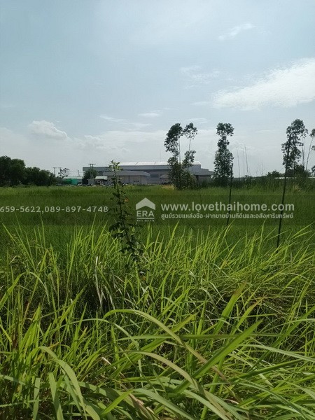 ขายที่ดินติดถนนซอยเทศบาล 1 (ลาภประเสริฐ) ถ.รังสิต–นครนายก คลอง 10 พื้นที่ 190 ตร.วา ใกล้ อบต.บึงบา หนองเสือ ปทุมธานี ราคาถูก เหมาะลงทุน