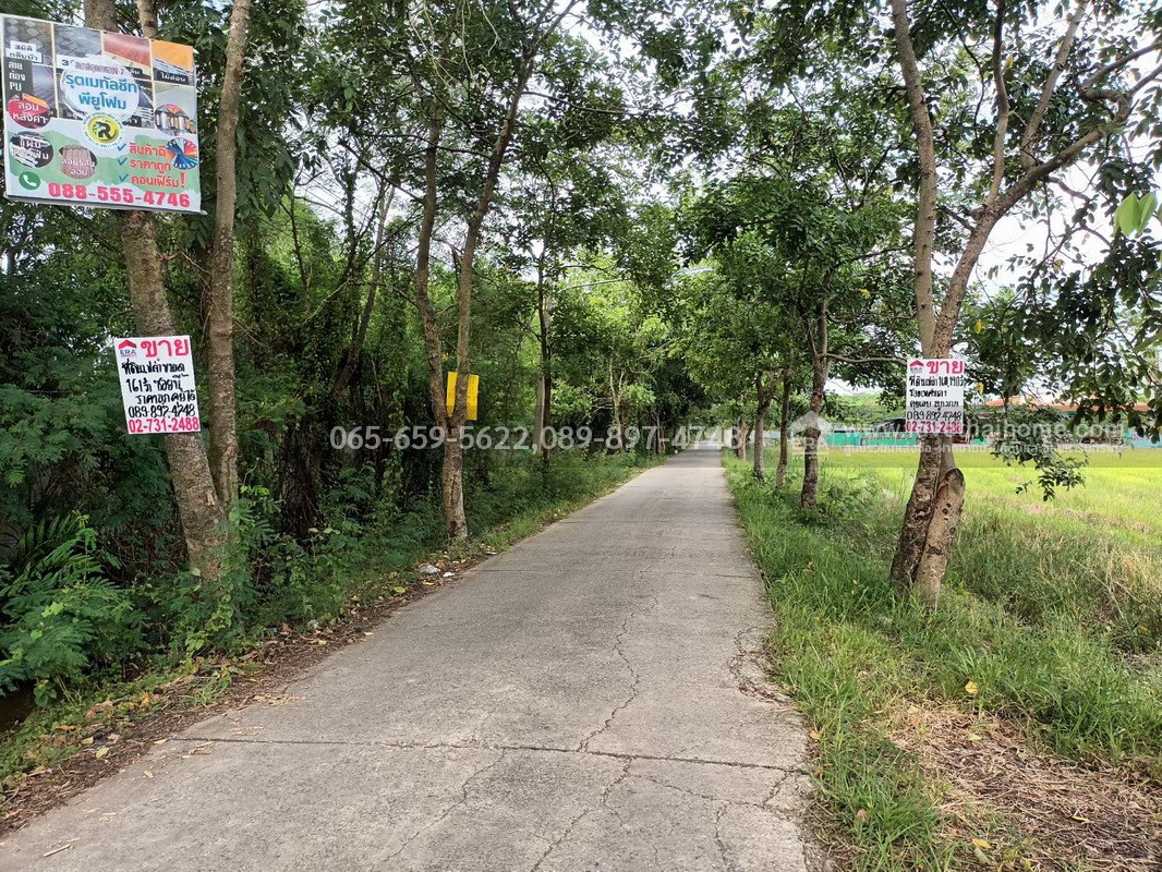 ขายที่ดินติดถนนซอยเทศบาล 1 (ลาภประเสริฐ) ถ.รังสิต–นครนายก คลอง 10 พื้นที่ 190 ตร.วา ใกล้ อบต.บึงบา หนองเสือ ปทุมธานี ราคาถูก เหมาะลงทุน