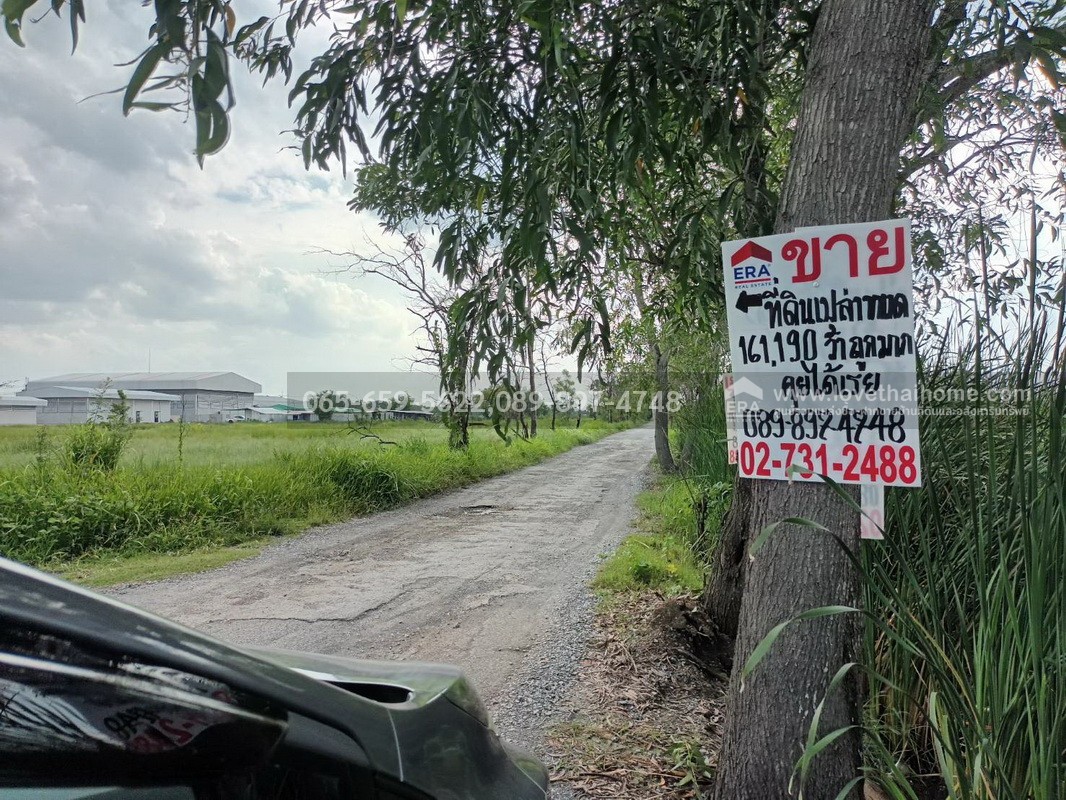 ขายที่ดินติดถนนซอยเทศบาล 1 (ลาภประเสริฐ) ถ.รังสิต–นครนายก คลอง 10 พื้นที่ 190 ตร.วา ใกล้ อบต.บึงบา หนองเสือ ปทุมธานี ราคาถูก เหมาะลงทุน