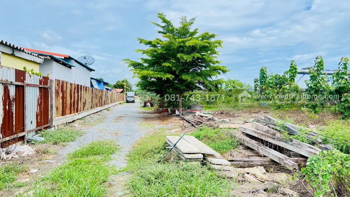 ขายที่ดิน ใกล้ อบต.ไทรใหญ่ อ.ไทรน้อย จ.นนทบุรี พื้นที่ 3-1-87 ไร่ ถมแล้ว ทำเลดี ติดถนน-ติดคลอง ติดโรงเบียร์ไฮเนเก้น แถมบ้านกับโกดัง เหมาะลงทุน ทำโกดัง,ลานเก็บสินค้า,บ้านพัก,ธุรกิจบ้านเช่า/หอพัก