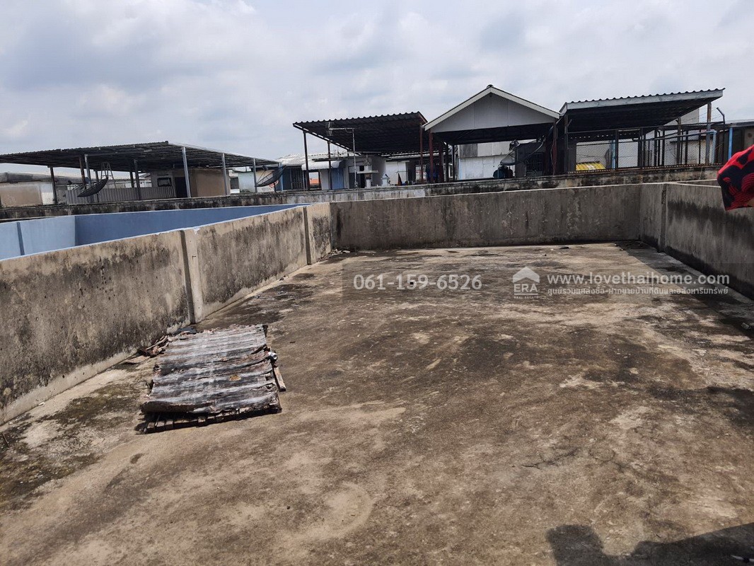 ขายตึกแถว 3 ชั้น หมู่บ้านรินทร์ทอง ลำลูกกา-คลอง 2 ปทุมธานี พื้นที่ 20 ตร.วา ติดถนนเมน ทำเลค้าขายได้