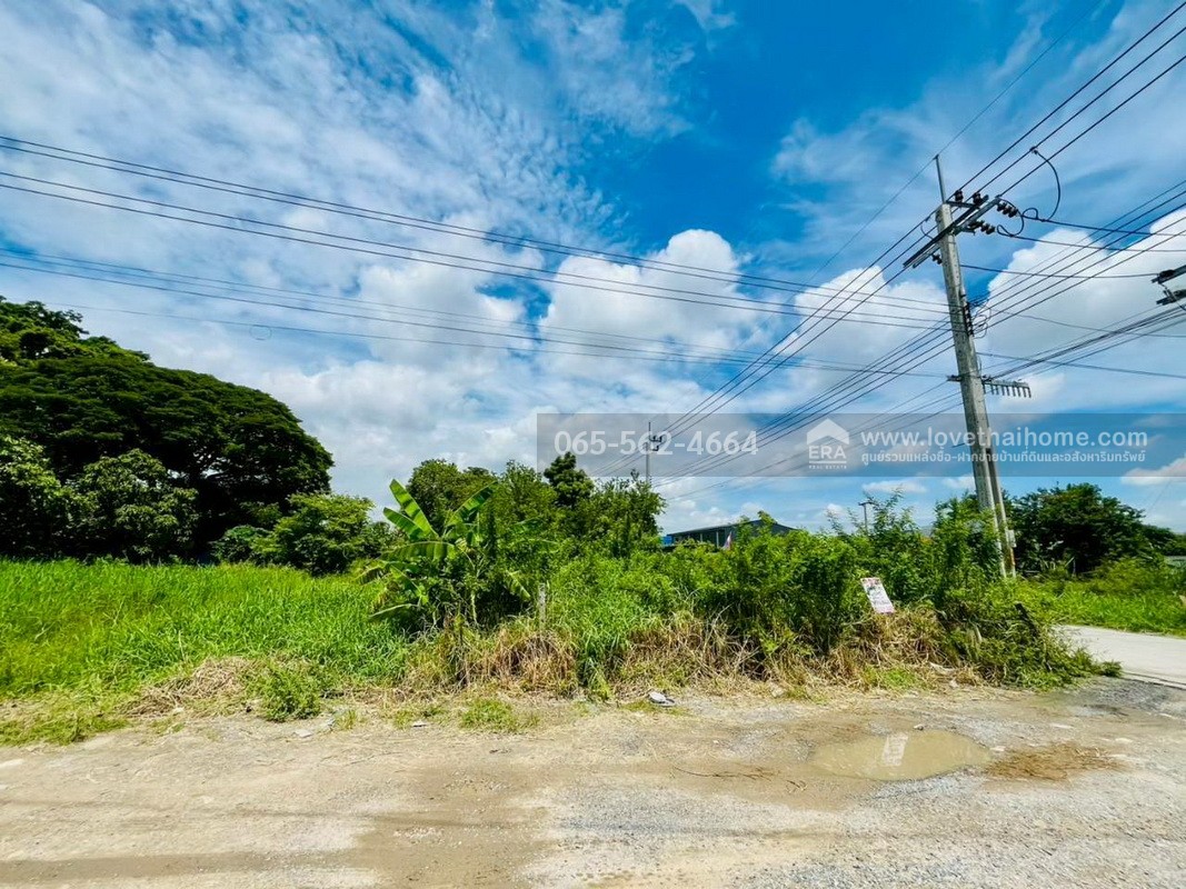 ขายที่ดิน คุ้มเกล้า50 ลำปลาทิว ลาดกระบัง พื้นที่ 390 ตรว. แปลงมุม ผังสีม่วง ยังไม่ถม หน้ากว้าง 48 เมตร ลึก 35 เมตร ใกล้ศูนย์กระจายสินค้า ICD ลาดกระบัง