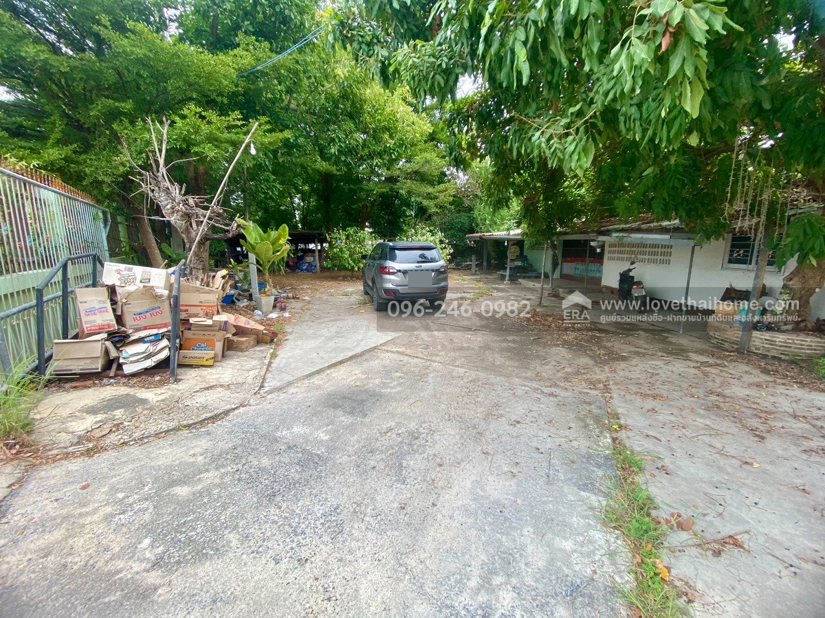 ขายที่ดินแถมบ้าน 2 หลัง พิงเขาสวย ต.ดอนคา อ.อู่ทอง จ.สุพรรณบุรี พื้นที่ 242 ตรว. บรรยากาศดี ร่มรื่น ลมพัดเย็นตลอด วิวภูเขาและทุ่งนา