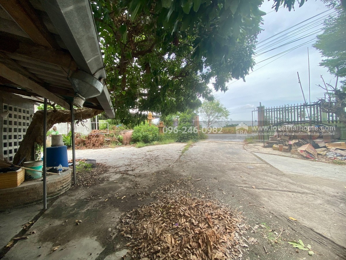 ขายที่ดินแถมบ้าน 2 หลัง พิงเขาสวย ต.ดอนคา อ.อู่ทอง จ.สุพรรณบุรี พื้นที่ 242 ตรว. บรรยากาศดี ร่มรื่น ลมพัดเย็นตลอด วิวภูเขาและทุ่งนา