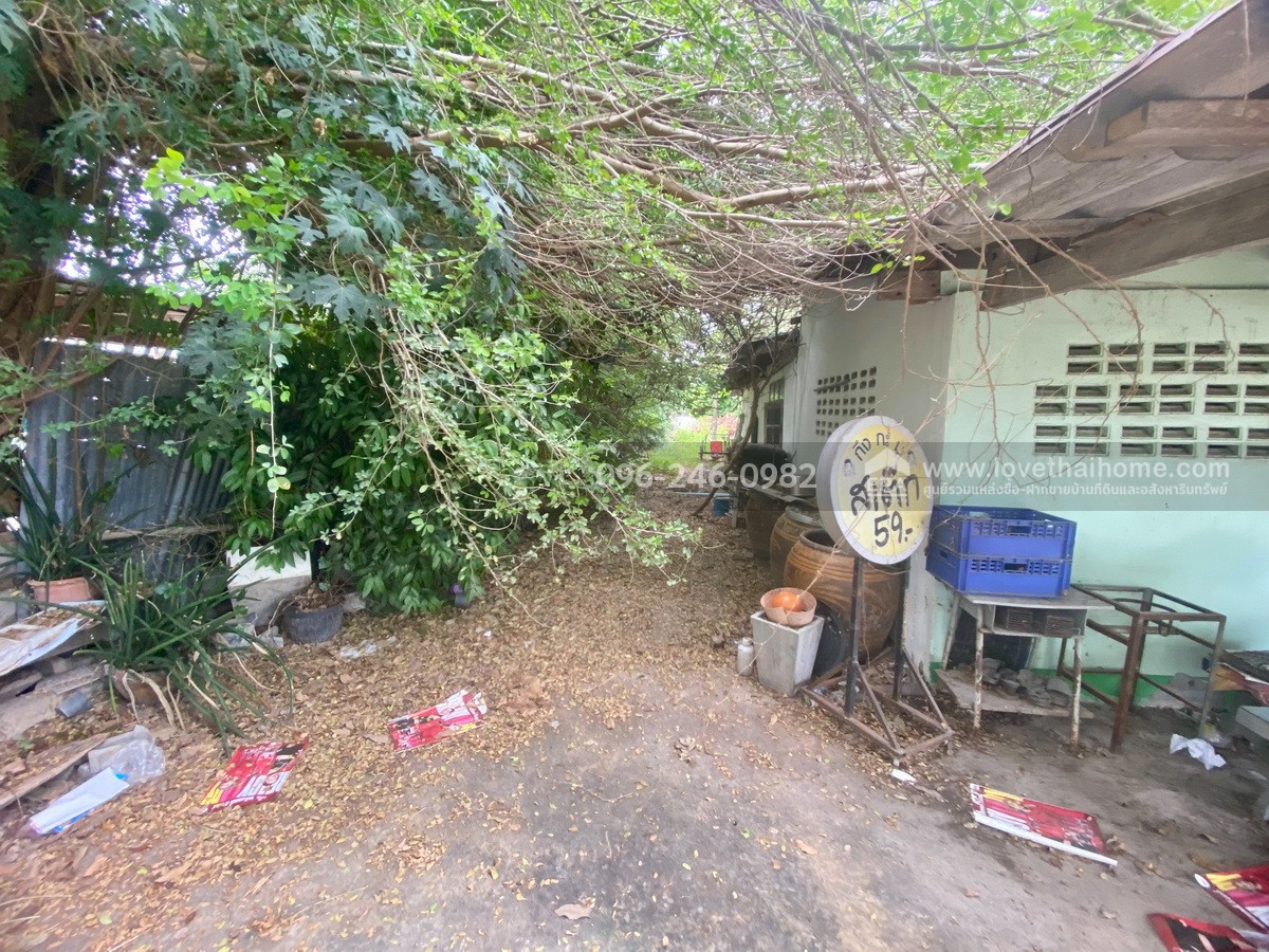 ขายที่ดินแถมบ้าน 2 หลัง พิงเขาสวย ต.ดอนคา อ.อู่ทอง จ.สุพรรณบุรี พื้นที่ 242 ตรว. บรรยากาศดี ร่มรื่น ลมพัดเย็นตลอด วิวภูเขาและทุ่งนา